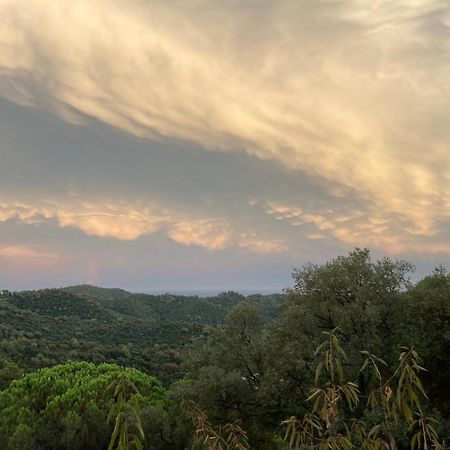 Sant Cebrià de VallaltaCasa Con Vista Y Jardin, A 20' De La Playa别墅 外观 照片